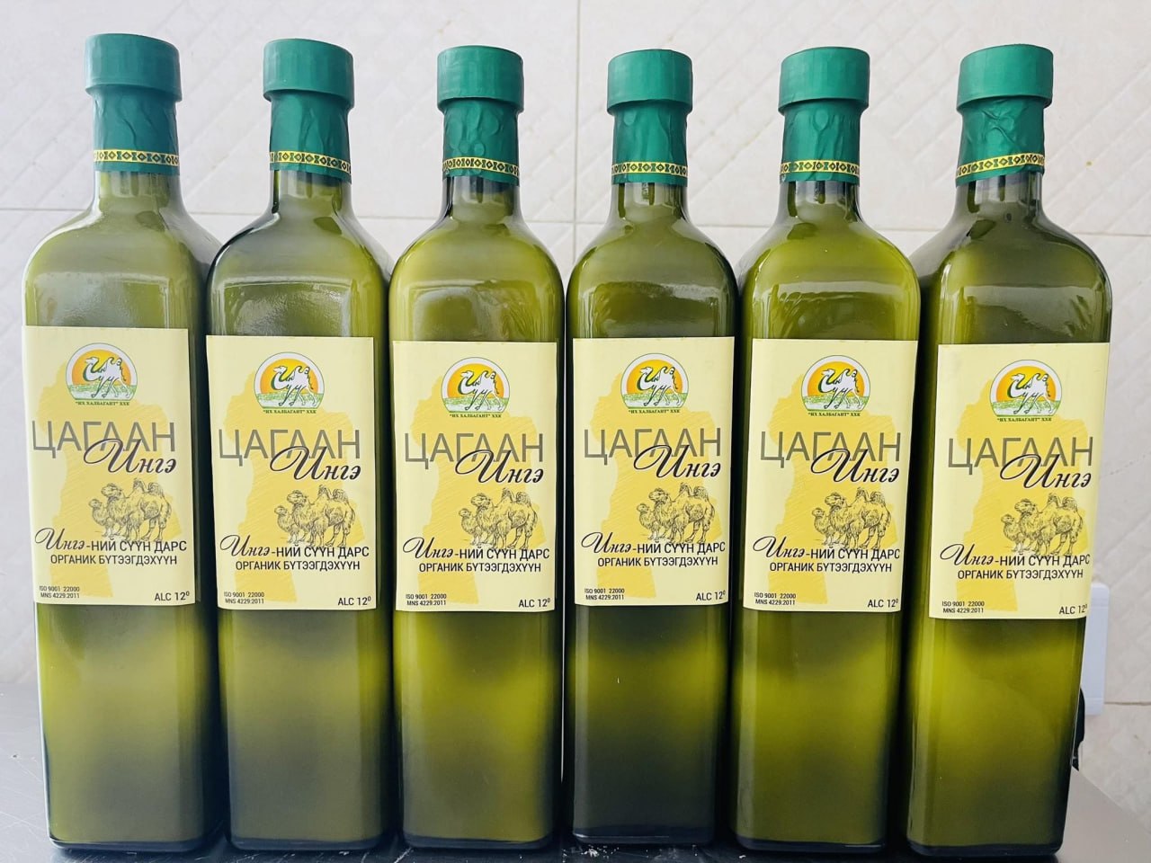 Ингэний сүүн дарс